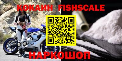 спайс Кингисепп