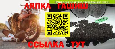 спайс Кингисепп