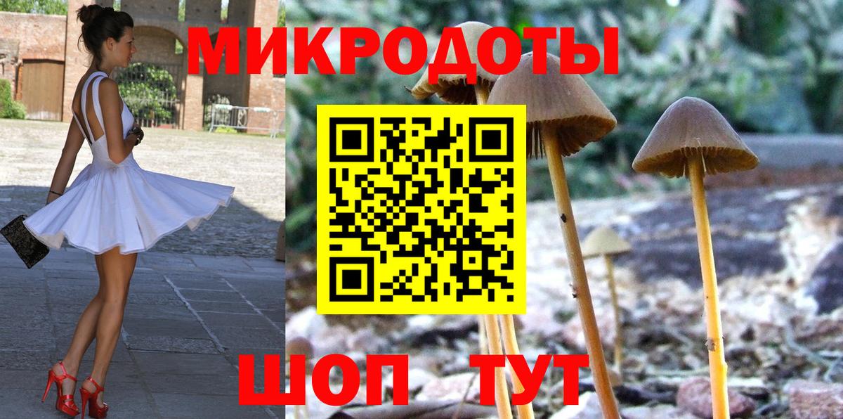 Галлюциногенные грибы Psilocybe Воткинск