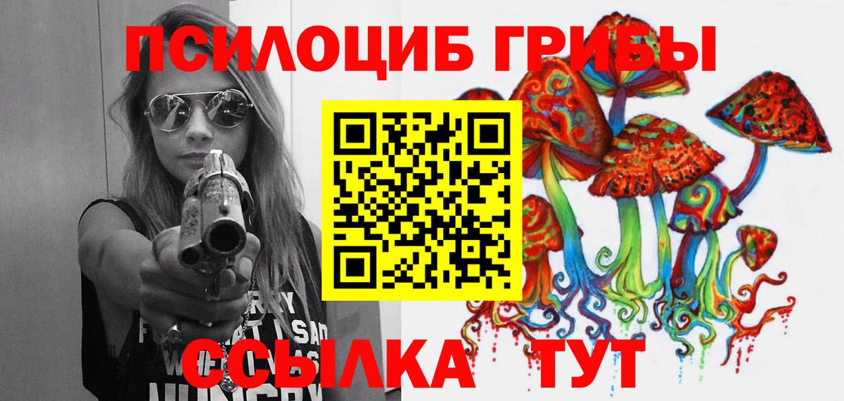 Псилоцибиновые грибы Psilocybine cubensis  Вход с VPN  Воткинск 