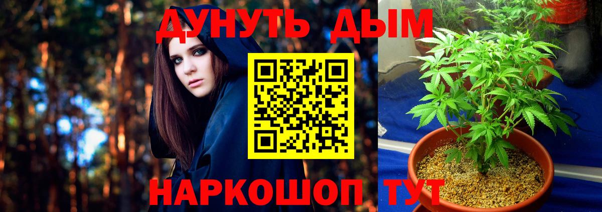 Воткинск  Бошки Шишки OG Kush  Шишки марихуана семена  Конопля THC 21%  Конопля THC 21%  Вход с VPN 